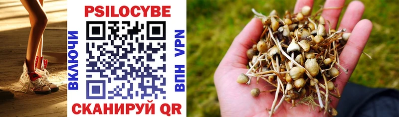 Купить закладки  Белореченск  Галлюциногенные грибы Cubensis 