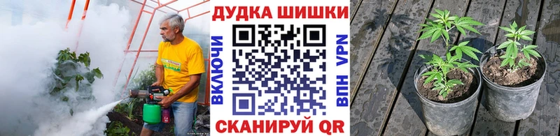 Купить где  Белореченск  Шишки марихуана конопля 